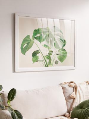 Sisi And Seb My Monstera Art Print