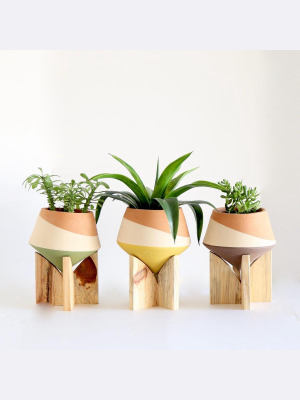 Double Dipped Colorblock Pots On Wooden Stands (set Of Three)