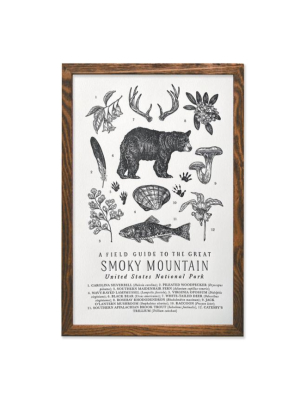 Great Smoky Mountains Park Field Guide Print