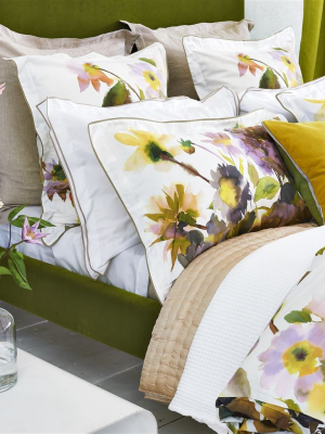 Palace Flower Birch Shams Design By Designers Guild