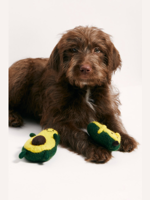 Wool Avocado Dog Toy