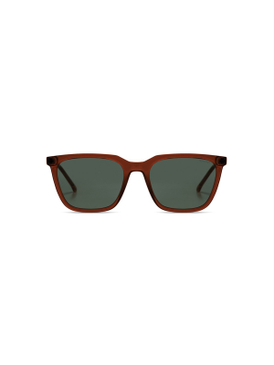 Bronze Jay Sunglasses