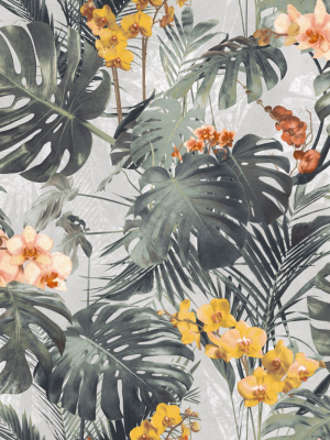 Dark Green Monstera Leaf Wallpaper By Walls Republic