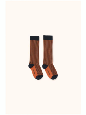 Tiny Cottons Multi Lines High Socks