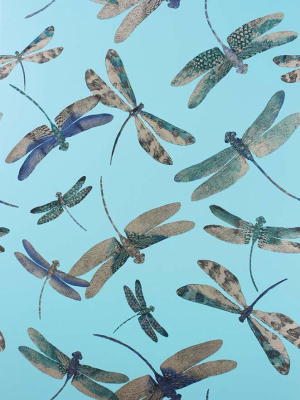 Sample Dragonfly Dance Wallpaper In Turquoise From The Samana Collection By Matthew Williamson