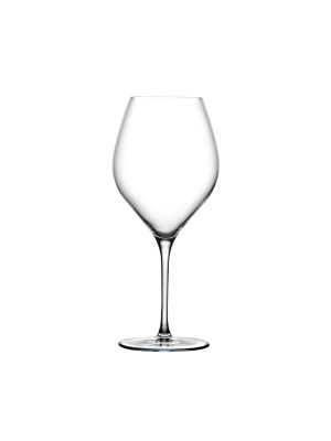 Vinifera Set Of 2 White Wine Glasses 600 Cc