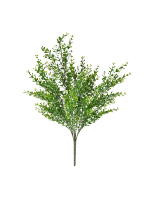 Vickerman 22.5" Green Uv Coated Boxwood Bush.