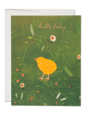 Baby Chick Card