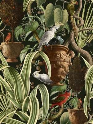 Exotic Menagerie Wallpaper In Dark From The Wallpaper Compendium Collection By Mind The Gap