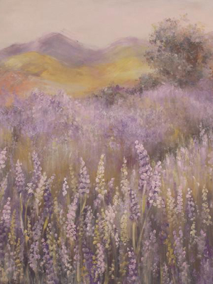 Provence