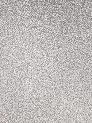 Mica Texture Wallpaper In Dove Grey And Silver Glitter From The Essential Textures Collection By Seabrook Wallcoverings