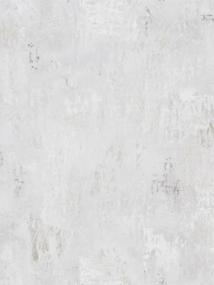 Impasto Wallpaper In Silver From The Tulipa Stellata Collection By Designers Guild