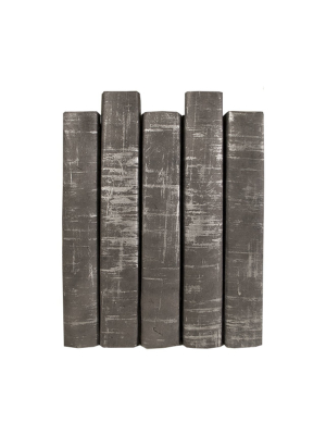 Brushed Silver On Gray Book Set Of 5