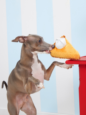 Bark Pepper's Pumpkin Pie Dog Toy