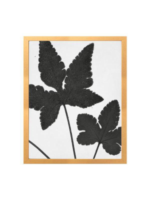 Blanc & Noir Leaf I