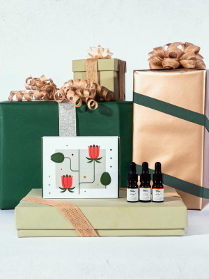 Plant People Gift Set