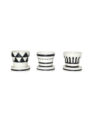 Graphic Planter Set