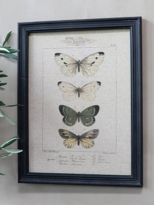 Picture With Butterfly Motif & Black Frame