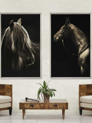 Caballus Framed Artwork