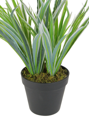 Northlight 13" Two-tone Grass Artificial Potted Plant - Green/white