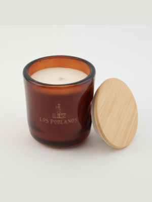 Los Poblanos Lavender Candle Amber Votive