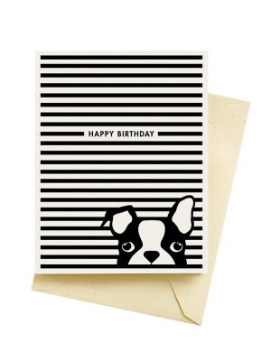 Seltzer Goods Dog Stripes Birthday Card