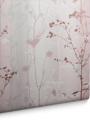 Wild Flower Wallpaper In Blush From The Exclusives Collection By Graham & Brown