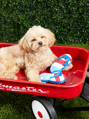Bark Freedom Flip-flops Dog Toy