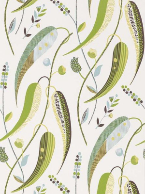 Sample Colbert Wallpaper In Green And Beige From The Les Indiennes Collection By Nina Campbell