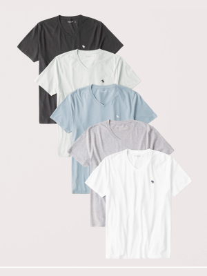 5-pack Icon V-neck Tee