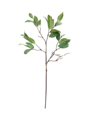 McGee & Co. Faux Laurel Leaf Stem - Autumn