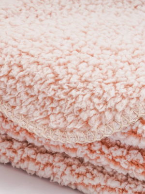 50"x60" Frosted Cozy Sherpa Throw Blanket - Freshmint