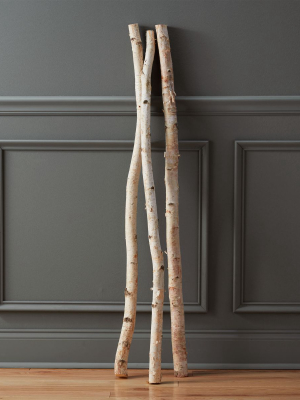 Birch Branch 48"