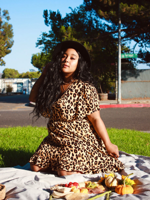 Plus Size Leopard Print Dress