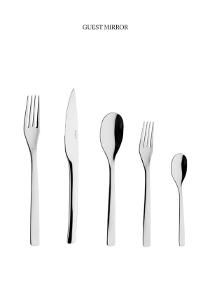 Guest 5 Piece Flatware Set