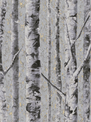 Birch Wallpaper In Moonlight From The Sanctuary Collection By Mayflower Wallpaper