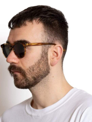 Otis Havana Sunglasses