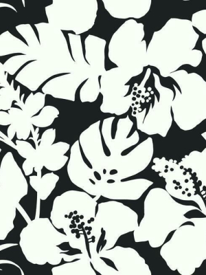 Hibiscus Arboretum Wallpaper In Black From The Water's Edge Collection By York Wallcoverings