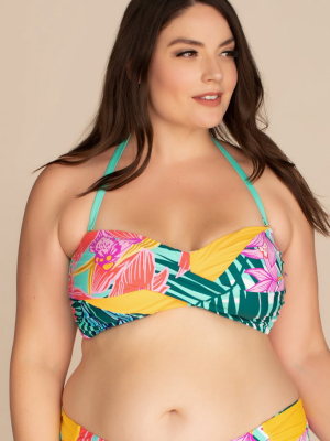 Terra Nostra Plus Bandeau