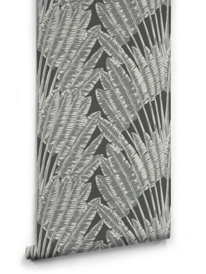 Feather Palm Wallpaper In Night Palm From The Kingdom Home Collection By Milton & King