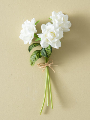 Gardenia Bundle