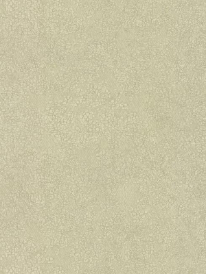 Weathered Wallpaper In Cream By Antonina Vella For York Wallcoverings