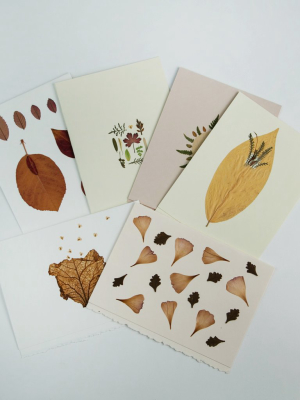 Leaf Cards, Set Of Six