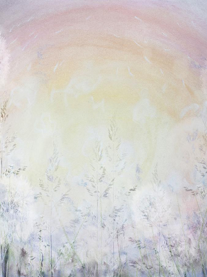 Rainbow Dandelions