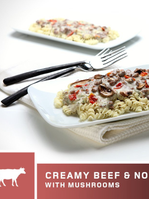 Creamy Beef & Noodles With Mushrooms