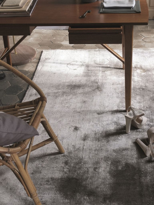 Eberson Slate Area Rug