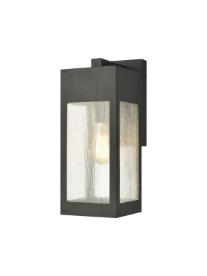 Angus 1-light Medium Outdoor Sconce In Charcoal With Seedy Glass Enclosure