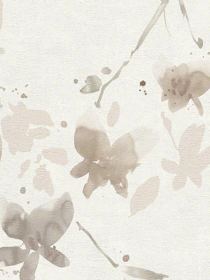 Floral Blossom Wallpaper In Ivory And Brown Design By Bd Wall