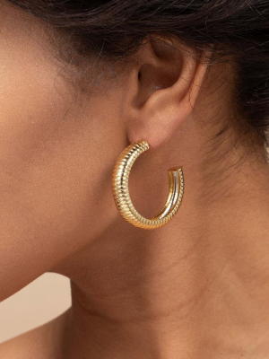 Fine Line Hoops