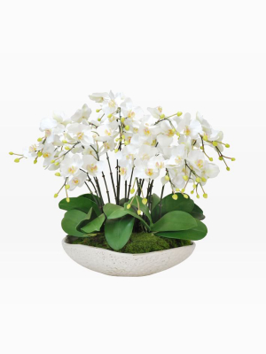 Faux Orchids In Bowl